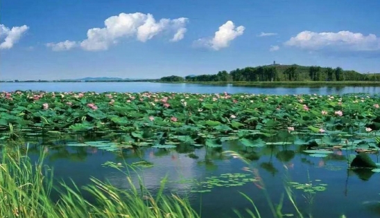 關(guān)于全面推進(jìn)美麗遼寧建設(shè)的實(shí)施意見（征求意見稿）發(fā)布！