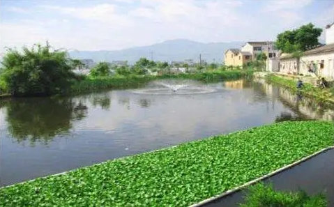 2025年底河南農(nóng)村生活污水治理率將達到45%