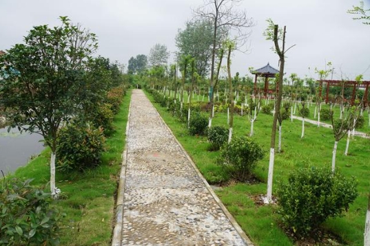 福建省生態(tài)環(huán)境廳、農(nóng)業(yè)農(nóng)村廳關于進一步加強農(nóng)村生活污水治理工作的通知！